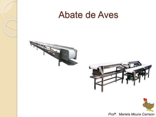 Abate de Aves
Profª. Mariela Moura Carreon
 