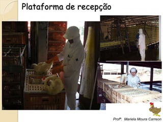 Plataforma de recepção
Profª. Mariela Moura Carreon
 