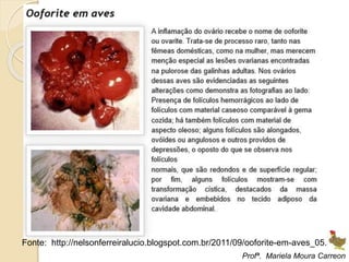 Fonte: http://nelsonferreiralucio.blogspot.com.br/2011/09/ooforite-em-aves_05.html
Profª. Mariela Moura Carreon
 