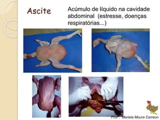 Ascite Acúmulo de líquido na cavidade
abdominal (estresse, doenças
respiratórias...)
Profª. Mariela Moura Carreon
 