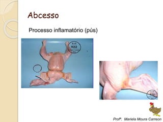 Abcesso
Processo inflamatório (pús)
Profª. Mariela Moura Carreon
 