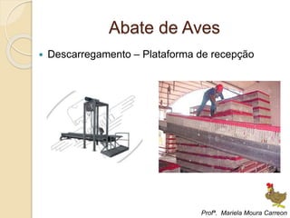 Abate de Aves
 Descarregamento – Plataforma de recepção
Profª. Mariela Moura Carreon
 