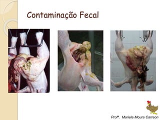 Contaminação Fecal
Profª. Mariela Moura Carreon
 