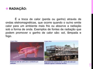  RADIAÇÃO: 
É a troca de calor (perda ou ganho) através de 
ondas eletromagnéticas, que ocorre quando o suíno emite 
calor para um ambiente mais frio ou absorve a radiação 
sob a forma de onda. Exemplos de fontes de radiação que 
podem promover o ganho de calor são: sol, lâmpada e 
fogo. 
15 
 