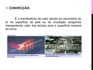  CONVECÇÃO: 
É a transferência de calor devido ao movimento do 
ar na superfície da pele ou da circulação sanguínea 
transportando calor dos tecidos para a superfície corporal 
do suíno. 
17 
 