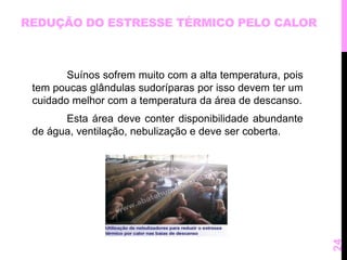 REDUÇÃO DO ESTRESSE TÉRMICO PELO CALOR 
Suínos sofrem muito com a alta temperatura, pois 
tem poucas glândulas sudoríparas por isso devem ter um 
cuidado melhor com a temperatura da área de descanso. 
Esta área deve conter disponibilidade abundante 
de água, ventilação, nebulização e deve ser coberta. 
24 
 