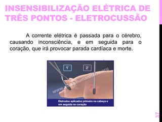 INSENSIBILIZAÇÃO ELÉTRICA DE 
TRÊS PONTOS - ELETROCUSSÃO 
A corrente elétrica é passada para o cérebro, 
causando inconsciência, e em seguida para o 
coração, que irá provocar parada cardíaca e morte. 
37 
 