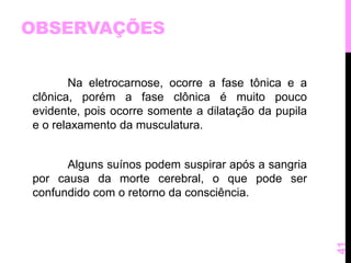 OBSERVAÇÕES 
Na eletrocarnose, ocorre a fase tônica e a 
clônica, porém a fase clônica é muito pouco 
evidente, pois ocorre somente a dilatação da pupila 
e o relaxamento da musculatura. 
Alguns suínos podem suspirar após a sangria 
por causa da morte cerebral, o que pode ser 
confundido com o retorno da consciência. 
41 
 