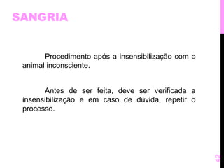 SANGRIA 
Procedimento após a insensibilização com o 
animal inconsciente. 
Antes de ser feita, deve ser verificada a 
insensibilização e em caso de dúvida, repetir o 
processo. 
42 
 