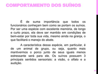 COMPORTAMENTO DOS SUÍNOS 
É de suma importância que todos os 
funcionários conheçam bem como se portam os suínos. 
Por ser uma espécie com excelente memória, de longo 
e curto prazo, ela deve ser mantido em condições de 
bem-estar por toda sua vida, mesmo ainda na granja, o 
que facilitará o manejo do abate. 
A característica dessa espécie, em particular, é 
de um animal de grupo, ou seja, quanto mais 
mantivermos o porco junto de seus iguais menos 
estressante será para ele. Os suínos possuem 3 
principais sentidos sensoriais: a visão, o olfato e a 
audição. 
5 
 