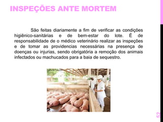 INSPEÇÕES ANTE MORTEM 
São feitas diariamente a fim de verificar as condições 
higiênico-sanitárias e de bem-estar do lote. É de 
responsabilidade de o médico veterinário realizar as inspeções 
e de tomar as providencias necessárias na presença de 
doenças ou injurias, sendo obrigatória a remoção dos animais 
infectados ou machucados para a baia de sequestro. 
52 
 