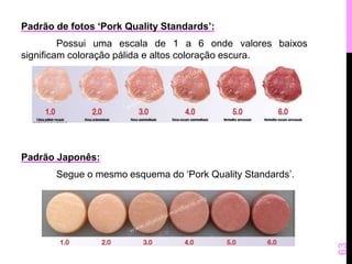 Padrão de fotos ‘Pork Quality Standards’: 
Possui uma escala de 1 a 6 onde valores baixos 
significam coloração pálida e altos coloração escura. 
Padrão Japonês: 
Segue o mesmo esquema do ‘Pork Quality Standards’. 
63 
 