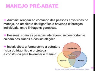 MANEJO PRÉ-ABATE 
8 
 Animais: reagem ao comando das pessoas envolvidas no 
manejo, ao ambiente do frigorífico e havendo diferenças 
individuais, entre linhagens genéticas. 
 Pessoas: como as pessoas interagem, se comportam e 
cuidam dos suínos e das instalações. 
 Instalações: a forma como a estrutura 
física do frigorífico é projetada 
e construída para favorecer o manejo. 
 