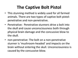 Abatoir seminar ppt by m.srinivasan | PPTX