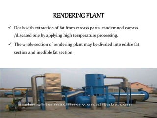 Peculiarities of Abattoir and Meat Industry | PPTX