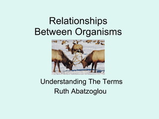 Relationships Between Organisms Understanding The Terms Ruth Abatzoglou 