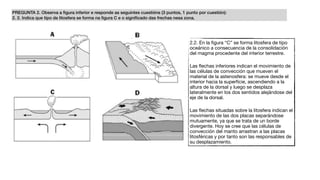 PREGUNTA 2. Observa a ﬁgura inferior e responde as seguintes cuestións (3 puntos, 1 punto por cuestión):
2. 2. Indica que tipo de litosfera se forma na ﬁgura C e o signiﬁcado das frechas nesa zona.
2.2. En la ﬁgura “C” se forma litosfera de tipo
oceánico a consecuencia de la consolidación
del magma procedente del interior terrestre.

Las ﬂechas inferiores indican el movimiento de
las células de convección que mueven el
material de la astenosfera: se mueve desde el
interior hacia la superﬁcie, ascendiendo a la
altura de la dorsal y luego se desplaza
lateralmente en los dos sentidos alejándose del
eje de la dorsal.

Las ﬂechas situadas sobre la litosfera indican el
movimiento de las dos placas separándose
mutuamente, ya que se trata de un borde
divergente. Hoy se cree que las células de
convección del manto arrastran a las placas
litosféricas y por tanto son las responsables de
su desplazamiento.
 