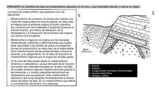 PREGUNTA 2.3. Identiﬁca los tipos de metamorﬁsmo aparecen en el corte, a qué materiales afectan y cuál es su origen.
1.- Granito.
2.- Pizarras.
3.- Conglomerado, areniscas y limos ﬂuviales.
4.- Aureola metamórﬁca.
5.- Margas y calizas.
Los tipos de metamorﬁsmo que aparecen son los
siguientes:

- Metamorﬁsmo de contacto: Es producido cuando una
masa de magma altera la roca encajante; en este caso
el magma que al enfriarse originó el plutón granítico,
por contacto con los materiales 2 (pizarras) produce su
transformación, por efecto de elevación de la
temperatura y la interacción de los ﬂuidos del magma
con dicha roca encajante.

- Metamorﬁsmo regional: se origina por las elevadas
temperaturas, presiones y deformaciones que suelen
estar asociadas a los bordes de placa convergentes
(zonas de subducción); en este caso es el responsable
de la transformación de las lutitas (arcillas y limos) en
pizarras, y su plegamiento. En el caso de la pizarra el
metamorﬁsmo regional que la origina es de bajo grado.

- En la zona de falla puede darse un metamorﬁsmo
dinámico o cataclástico, ya que derivado de la tracción
que sufren los materiales situados en el plano de falla,
se pueden producir algunas transformaciones gracias a
las presiones y o incluso pequeñas elevaciones de
temperatura que se producen. Este metamorﬁsmo
afectaría a las rocas situadas inmediatamente a ambos
lados del plano de falla. Es un metamorﬁsmo que afecta
a una extensión de terreno muy reducida.
 