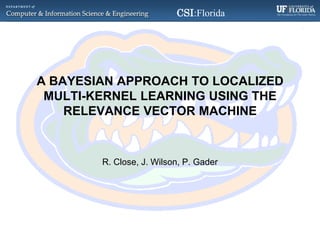 A Bayesian Approach to Localized Multi-Kernel Learning Using the Relevance Vector Machine R. Close, J. Wilson, P. Gader 