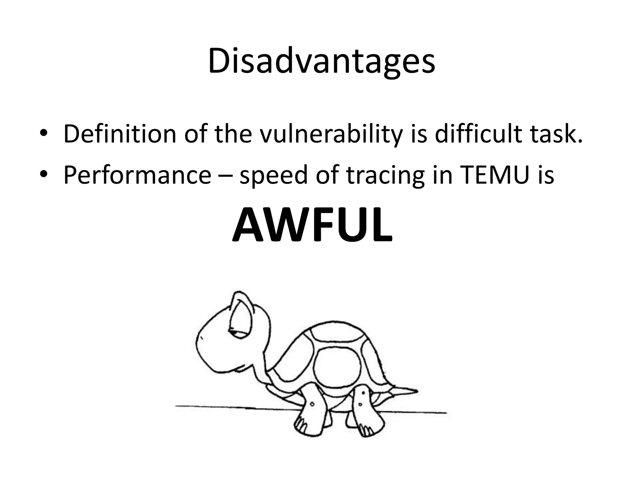 Disadvantages • Definition of the vulnerability is difficult task. • Performance – speed of tracing in TEMU is AWFUL 