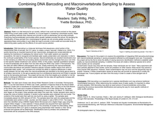 Combining DNA Barcoding and Macroinvertebrate Sampling to Assess
Water Quality
Tanya Dapkey
Readers: Sally Willig, PhD.,
Yvette Bordeaux, PhD.
2008
Abstract: Water is a vital resource for our society, without it we could not have evolved on this planet.
Determining current water quality, therefore, is a crucial aspect in sustaining a developed society. Water
quality sampling methods have matured and provide us with an elementary yet accurate portrayal.
Examining macroinvertebrate communities within aquatic habitats provides the picture. By elevating the
identification of these animals from morphological to genetic we can provide greater accuracy. By
appraising these communities in such detail we hope to provide a more subtle and accurate study for
determining water quality and the effects of non-point source pollution.
Introduction: DNA barcoding is a molecular technique that sequences a short portion of the
mitochondrial DNA of animals, the CO1 gene, to create a unique “barcode” (Hebert et al. 2003). It is
quickly becoming an important taxonomic tool; taxonomists, ecologists and conservationists are
realizing the importance of cataloging the natural world. Fresh water systems are essential
ecosystems; the need to recognize and facilitate water quality preservation and restoration is vital to
the continued sustainability of the human species. Macroinvertebrates are excellent bioindicators due
to their tendency to reflect the surrounding abiotic environment and the changes that occur over time
to that specific habitat (Hodkinson and Jackson 2005). In this project, replicate quantitative samples
of macroinvertebrates will be taken from two sites along the White Clay Creek in Pennsylvania. The
two sites will reflect different anthropogenic land use; closely examining the macroinvertebrate
communities abundance and pollution tolerance species richness creates metrics from which to
extrapolate water quality. I will compare and contrast the ability to measure differences in water
quality between the two sites when the macroinvertebrates are identified to the family-genus level by
an amateur taxonomist, to the genus-species level by a professional taxonomist and finally to species
level by the barcoding technique. This project will be one of the first insights as to whether or not the
ability to distinguish differences in water quality between the two sites will significantly increase with
each lower level of taxonomy.
Methods: Two sites were chosen near Stroud Water Research Center in Avondale, Pennsylvania.
Site 11 is on the East Branch of White Clay Creek, upstream of Spencer Road at the Stroud Water
Research Center and is considered an Exceptional Value stream. Site 12 is also on the East Branch
of the White Clay Creek and is located at Rosazza Orchards off of Glen Willow Road, the water
quality here is considered fair and has been decreasing in recent years. On March 10, 2008 field-
work began on this project; three samples were taken from each site. Surber samplers were used to
scrape the rocks at random locations; 4 random surber samples were collected into one bucket. The
contents of the bucket were then split into one fourth by using a splitter. The samples were
immediately placed into 95% ethanol (ETOH). The samples were then split into subsamples and the
invertebrates were sorted to Order, counted, and then placed in vials of 95% ETOH. The insects
were then identified using a DM39Z Digital Stereo Microscope and a digital image (.jpg) using the
program Motic Images 1.2 was captured. A tissue sample was acquired from each specimen,
placed into a Matrix 94 tube box and then sent to The University of Guelph for DNA testing. When
the mitochondrial DNA (CO1 gene) is analyzed using polymerase chain reaction a “tree” will be
produced and species will be determined. Identifications done by amateur and professional
taxonomists will be compared to the DNA analysis.
Discussion: The hope for this project is to explore the possibilities of integrating DNA barcoding technology
with macroinvertebrate sampling in varying ecosystems affected by anthropogenic land use. If successful,
this project will be the first to show the ability of varying taxonomic identification methods to establish water
quality via macroinvertebrate sampling. In addition this study will create a reference species list to which
future studies can be compared.
Contamination issues may arise with the samples, these individuals are not “clean.” Many specimens still
have particles attached to their bodies, some are predators on other insects; these issues may prevent a
more precise DNA sequence. However, these contaminations may not occur and the sequences may be
pristine. However, if these contamination issues do arise they will provide an opportunity to modify the
techniques now. Future projects can learn from this study in order to create a more stringent set of
standards.
Conclusion: DNA barcoding is an essential tool in species identification and may enhance traditional
morphological taxonomy. When determining the complex issue of water quality it is important to utilize
all tools available. DNA barcoding may allow an exact picture of macroinvertebrate communities,
supporting the previous taxonomists identifications and paving the way for more specific methods of
water quality sampling.
Works Cited:
Hebert, Paul D. N., Alina Cywinska, Shelly L. Ball, and Jeremy R. deWaard. 2003. Biological identifications
through DNA barcodes. Proceedings of the Royal Society of London B. 270, 313-321.
Hodkinson, Ian D. and John K. Jackson. 2005. Terrestrial and Aquatic Invertebrates as Bioindicators for
Environmental Monitoring, with Particular reference to Mountain Ecosystems. Environmental Management.
35(5), 649-666.
All photographs taken by Tanya Dapkey
Figure 1. Ephemerellid Mayfly with tissue sample (leg) to the side Figure 2. Hydropsychid caddis fly
Figure 3.Sampling at Site 11
Figure 4. Splitting and preserving sample 1 from Site 11
 