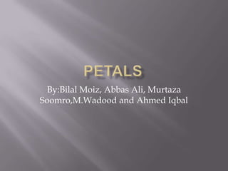 By:Bilal Moiz, Abbas Ali, Murtaza
Soomro,M.Wadood and Ahmed Iqbal
 