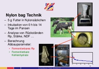 12
Nylon bag Technik
– 5 g Futter in Nylonsäckchen
– Inkubation von 0 h bis 14
Tage im Pansen
– Analyse von Rückständen
Rp, Stärke, NDF …
– Berechnung
Abbauparameter:
• Fermentierbares Rp
• Fermentierbare
Kohlenhydrate
0
10
20
30
40
50
60
70
80
90
100
0 10 20 30 40 50
 