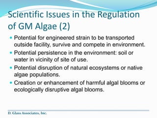 Scientific Issues in the Regulation
of GM Algae (2)
 Potential for engineered strain to be transported
outside facility, ...