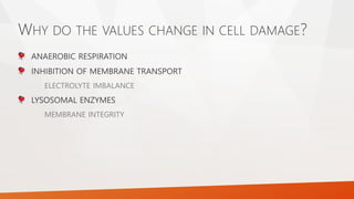 The Past, Present, and Future of Cardiac Biomarkers | PPTX
