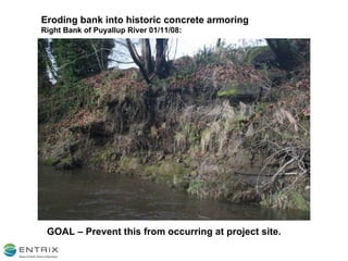 Eroding bank into historic concrete armoring Right Bank of Puyallup River 01/11/08:  GOAL – Prevent this from occurring at project site. 