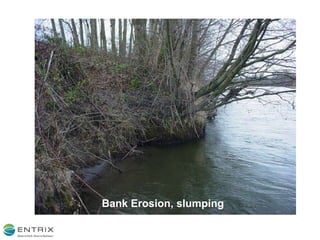Bank Erosion, slumping 