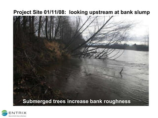 Project Site 01/11/08:  looking upstream at bank slump Submerged trees increase bank roughness 