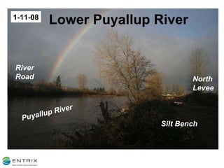 1-11-08 River Road Silt Bench North Levee Puyallup River Lower Puyallup River 