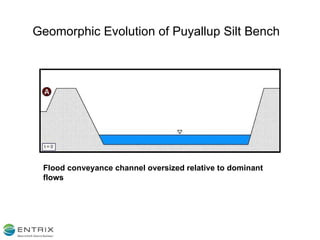 Geomorphic Evolution of Puyallup Silt Bench Flood conveyance channel oversized relative to dominant flows 
