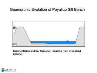 Geomorphic Evolution of Puyallup Silt Bench Sedimentation and bar formation resulting from over-sized channel 