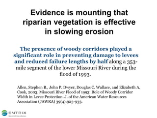 Evidence is mounting that riparian vegetation is effective in slowing erosion Allen, Stephen B., John P. Dwyer, Douglas C. Wallace, and Elizabeth A. Cook, 2003. Missouri River Flood of 1993: Role of Woody Corridor Width in Levee Protection. J. of the American Water Resources Association (JAWRA) 39(4):923-933. The presence of woody corridors played a significant role in preventing damage to levees and reduced failure lengths by half  along a 353-mile segment of the lower Missouri River during the flood of 1993.  