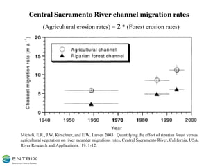 Micheli, E.R., J.W. Kirschner, and E.W. Larsen 2003.  Quantifying the effect of riparian forest versus agricultural vegetation on river meander migrations rates, Central Sacramento River, California, USA.  River Research and Applications.  19. 1-12. Central Sacramento River channel migration rates (Agricultural erosion rates) =  2  * (Forest erosion rates) 