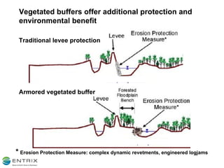 *   Erosion Protection Measure: complex dynamic revetments, engineered logjams Vegetated buffers offer additional protection and environmental benefit Traditional levee protection a Armored vegetated buffer 