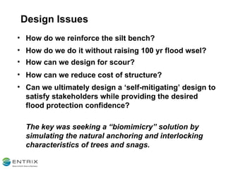 How do we reinforce the silt bench? How do we do it without raising 100 yr flood wsel? How can we design for scour? How can we reduce cost of structure? Can we ultimately design a ‘self-mitigating’ design to satisfy stakeholders while providing the desired flood protection confidence? The key was seeking a “biomimicry” solution by simulating the natural anchoring and interlocking characteristics of trees and snags. Design Issues 