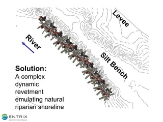 Solution: A complex dynamic revetment emulating natural riparian shoreline Silt Bench Levee River 
