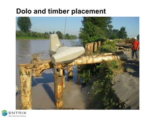 Dolo and timber placement 
