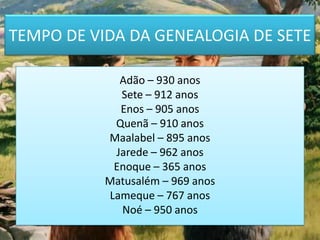 TEMPO DE VIDA DA GENEALOGIA DE SETE

             Adão – 930 anos
             Sete – 912 anos
             Enos – 905 anos
            Quenã – 910 anos
           Maalabel – 895 anos
            Jarede – 962 anos
            Enoque – 365 anos
           Matusalém – 969 anos
           Lameque – 767 anos
             Noé – 950 anos
 