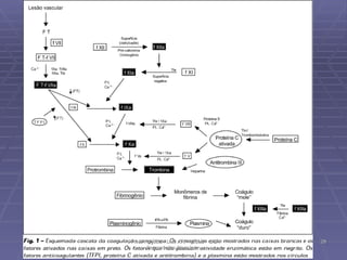 Pr Ivair Augusto - Dist. ARF - USeB -  DSA Farmacêutico Bioquímico 