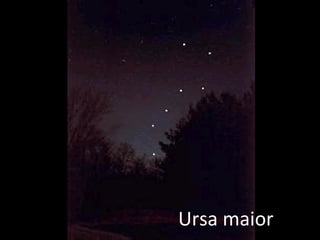 Ursa maior 