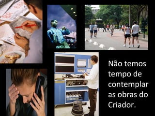Não temos tempo de  contemplar  as obras do Criador. 