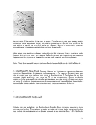 Arqueoptérix. Esta criatura tinha asas e penas. Possuía garras nas suas asas e assim 
conseguia trepar as árvores e voar. No entanto, essas garras não são uma evidência de 
que estava a evoluir de um réptil para um pássaro. Nunca foi encontrado qualquer 
esqueleto que indicasse um estágio intermediário de evolução. 
Aliás, ainda hoje, existe um pássaro na América do Sul, chamado Hoazin, que tanto pode 
trepar a árvores como voar - tem na parte da frente de cada asa duas garras que usa para 
trepar enquanto pequeno - e é evidente que não está a evoluir, sendo um pássaro. 
21 
Foto: Fóssil de arqueoptérix encontrado em Berlin (Museu Britânico de História Natural) 
5. DINOSSAUROS PEQUENOS. Quando falamos em dinossauros, pensamos logo em 
monstros. Mas existiram dinossauros muito pequenos ... É o caso do Compsognatus que 
não era maior que uma galinha, bem como o Struthiomimus. O Ranforinco foi um dos 
menores répteis voadores, com cerca de 50 cm de comprimento. Dentre os répteis 
voadores, tinha uma aparência estranha, por causa do seu rabo longo e fino com um leme 
na ponta. A existência destes pequenos dinossauros prova a impossibilidade de evolução, 
porque todas estas espécies viveram em comum, no mesmo período de tempo. 
. 
V. OS DINOSSAUROS E O DILÚVIO 
Criados para se Multiplicar. No Quinto dia da Criação, Deus começou a povoar a terra 
com seres viventes. Criou pois os grandes animais marinhos e todos os seres viventes 
que rasteja, os quais povoaram as águas, segundo a sua espécia (Gen. 1:21). No Sexto 
 