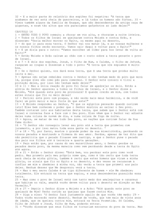32 - E a maior parte do relatório dos espiões foi negativa: "A terra que
acabamos de ver está cheia de guerreiros, e lá todos os homens são fortes. 33 Vimos também alguns da família de Enaque, que são descendentes da antiga raça de
gigantes, e eram tão altos que nós parecíamos gafanhotos ao lado deles!"
CAPITULO 14
1 - ENTÃO TODO O POVO começou a chorar em voz alta, e choraram a noite inteira.
2 - Todos os filhos de Israel se queixaram contra Moisés e contra Arão, e
disseram: "Seria melhor morrer no Egito, ou mesmo aqui no deserto,
3 - do que ir para essa terra. O Senhor vai nos matar lá, e as nossas mulheres e
os nossos filhos serão escravos. Vamos sair daqui e voltar para o Egito!"
4 - E um dizia para o outro: "Vamos escolher um líder para nos levar de volta ao
Egito!"
5 - Então Moisés e Arão caíram ao chão com o rosto sobre a terra perante o povo
de Israel.
6 e 7 - E dois dos espiões, Josué, o filho de Num, e Calebe, o filho de Jefoné,
rasgaram as roupas e disseram a todo o povo: "A terra que nós espiamos é muito
boa.
8 - Se o Senhor quiser, nos dará essa terra, que é uma terra que produz muito
leite e mel.
9 - Apenas não sejam rebeldes contra o Senhor e não tenham medo do povo que mora
lá, porque eles são como pão para comermos. O Senhor está conosco e tirou a
proteção deles, por isso não tenham medo deles!"
10 e 11 - Mas a única reação do povo foi falar em apedrejar os dois. Então a
glória do Senhor apareceu a todos os filhos de Israel, e o Senhor disse a
Moisés, "Até quando este povo me provocará? E quando crerão em mim, com todos
estes sinais que fiz no meio deles?
12 - Ferirei este povo com pragas, e não serão mais meus herdeiros, e de você
farei um povo maior e mais forte do que este!"
13 - E Moisés respondeu ao Senhor, "O que os egípcios pensarão quando ouvirem
isto? Eles bem conhecem o poder que o Senhor mostrou ao salvar o Seu povo.
Também contaram isto aos habitantes desta terra, que sabem que o Senhor está com
Israel e conversa face a face com o Seu povo. Eles vêem que o Senhor vai adiante
deles numa coluna de nuvem de dia, e numa coluna de fogo de noite.
15 - Agora, se matar de vez todo Seu povo, as nações que ouviram falar da Sua
fama dirão:
16 - 'O Senhor não conseguiu levar seu povo até a terra que prometeu com
juramento, e por isso matou toda essa gente no deserto. '
17 e 18 - "Ó, por favor, mostre o grande poder da sua misericórdia, perdoando os
nossos pecados e mostrando a firmeza do seu amor. Perdoe, apesar de ter dito que
não permitiria que o pecado ficasse sem castigo, e que o Senhor pune o pecado
dos pais nos filhos até à terceira e quarta gerações.
19 - Peço então que, por causa do seu maravilhoso amor, o Senhor perdoe os
pecados deste povo, da mesma maneira como vem perdoando desde a terra do Egito
até agora.
20 e 21 - Então o Senhor disse: "Está bem, vou perdoar este povo como você
pediu. Mas prometo pelo meu próprio nome que, como é tão certo que toda terra
será cheia de minha glória, também é certo que estes homens que viram a minha
glória, os sinais que fiz no Egito e no deserto, e dez vezes se recusaram a
confiar em mim e obedecer à minha voz, não verão a terra que prometi aos pais
deles. Nenhum desses que Me desprezou verá a terra.
24 - Mas o meu servo Calebe é um tipo diferente de homem - ele Me obedeceu
totalmente. Ele entrará na terra que espiou, e seus descendentes possuirão essa
terra.
25 - Mas como o povo de Israel está com tanto medo dos amalequitas e cananeus
que habitam no vale, amanhã vocês devem voltar para o deserto em direção ao Mar
Vermelho."
26 e 27 - Depois o Senhor disse a Moisés e a Arão: "Até quando este povo se
queixará de Mim? Tenho ouvido as queixas que fazem contra Mim.
28 - Diga a eles: 'O Senhor fará justamente aquilo de que vocês têm medo: 29 Todos vocês morrerão neste deserto. Nenhum de vocês, que tem mais de vinte anos
de idade, que se queixou contra mim, entrará na Terra Prometida. Só Calebe,
filho de Jefuné e Josué, filho de Num, poderão entrar.
31 - "Vocês disseram que seus filhos se tornariam escravos do povo da terra. Mas

 