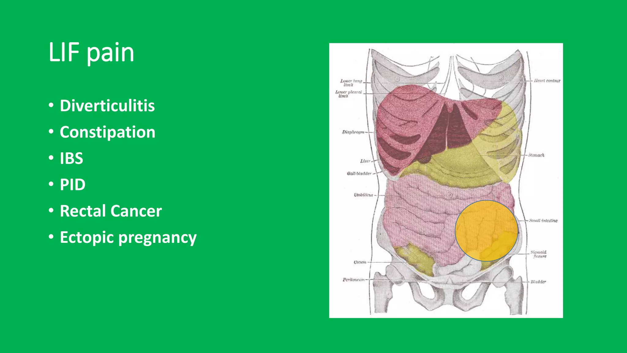 Abdominal Pain In The Immunocompromised PPTX abdominal-pain-in-the-immunocompromised-pptx