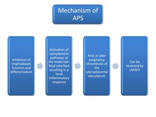 Mechanism of
                            APS



                   Activation of
                   complement
                                     And, in later
                    pathways at
 Inhibition of                        pregnancy,
                  the maternal–                        Can be
trophoblastic                       thrombosis of
                  fetal interface                    reversed by
 function and                            the
                   resulting in a                      LMWH
differentiation                     uteroplacental
                       local
                                     vasculature.
                  inflammatory
                     response
 