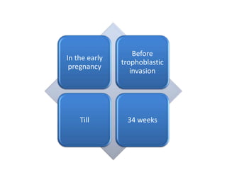Before
In the early
               trophoblastic
 pregnancy
                  invasion




    Till        34 weeks
 